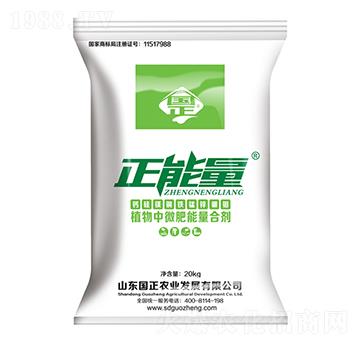 �}���V�~�F�i�\���f-������