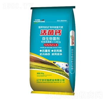 ����}΢�������-�ֿ�ʩ