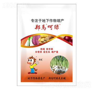 ���R�ǾG���a(ch��n)�ײ�-ǧ���R�r(n��ng)�I(y��)