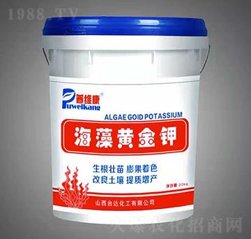 �����S���-�վS��-�_(t��i)�_(d��)�ʘI(y��)