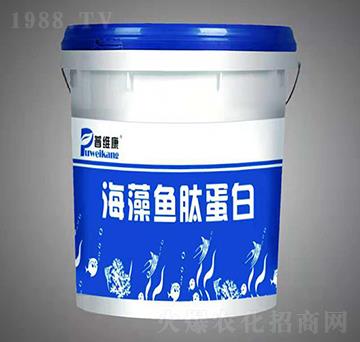 �����~�ĵ���-�վS��-�_�_�ʘI(y��)