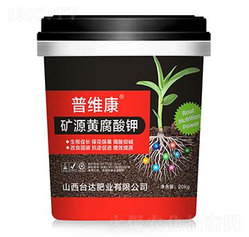 �VԴ�S�����-�վS��-�_�_�ʘI(y��)