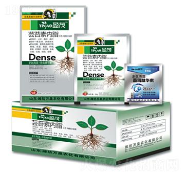 �|̦�؃�֬-�fȪ�r��