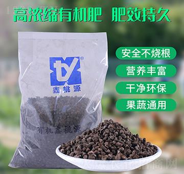 �ߝ�s�ЙC(j��)��-����