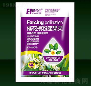 �߻��ڷ������`-嫘���