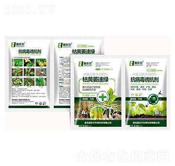 ���Sή�پG+�������T��