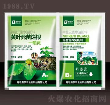 �S�~���砀��һ���`+��