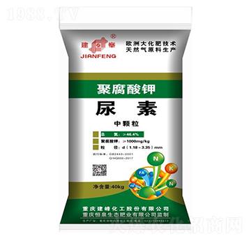 �۸��������-¡���r�Y