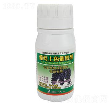 ���ь�(zhu��n)��������ɫ�ߺڄ�-����ʘI(y��)