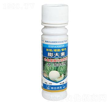 ��������ό�(zhu��n)��-���������-����ʘI(y��)