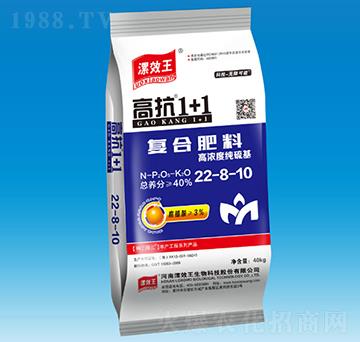 �߿�1+1�S�����(f��)�Ϸ�