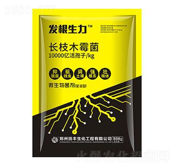 �L֦ľù��-�l(f��)������-�۟o��