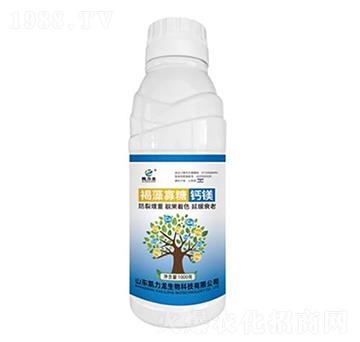 ��������}�V-�P����