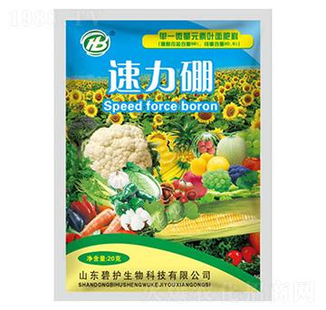 ������-���o����