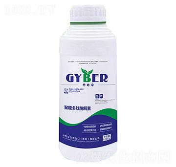 ���Ƕ���ø����-�ȃ�(y��u)ؐ��
