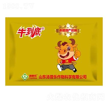 �������a�ײ�-ţ����-���՘�