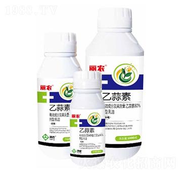 80%����������-���r-���՘�