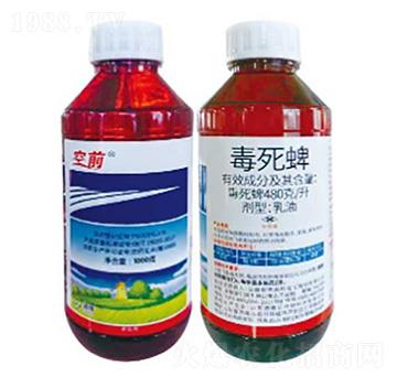 480��/������������-��ǰ-���՘�