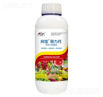 �����}-��ɏ-���r(n��ng)��