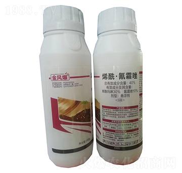 40%ϩ������˪��Ҹ���500g-���L(f��ng)��-�G������