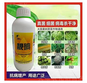 �n��-�f�@��-ϲ����