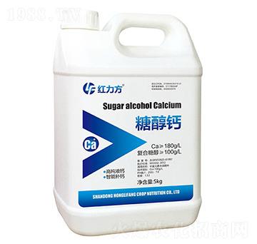 �Ǵ��}-�t����