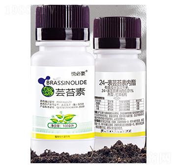 0.01%24-���|̦