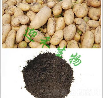 馬鈴薯土豆有機(jī)肥-迎禾生物