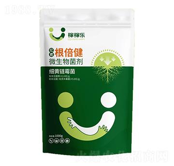 ΢�������-�|��������-�ڼژ�