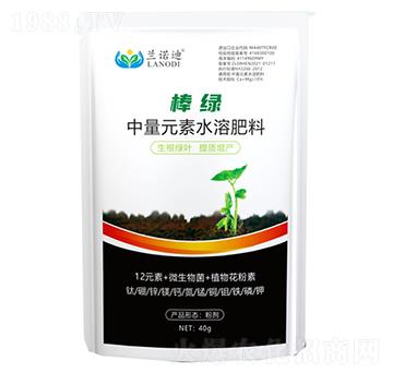 ���G��12Ԫ�أ�-�m�Z��-������