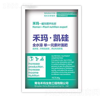 �̬����P��-�̬�����