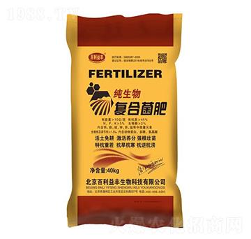 10�|��������ͺϾ���-�������S-��ʥ����