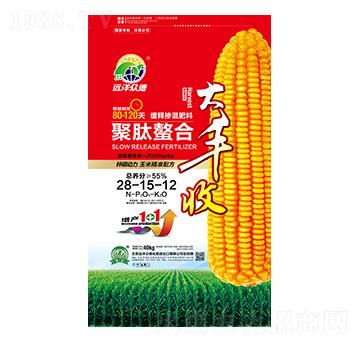 聚肽螯合緩釋摻混肥料28-15-12-大豐收-遠(yuǎn)洋眾德