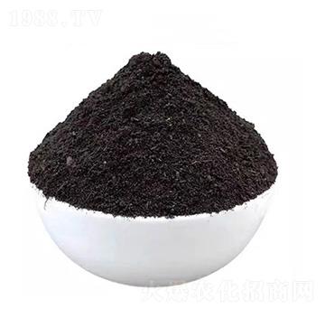 �l(f��)���u�S�ЙC��-�؝��ЙC��