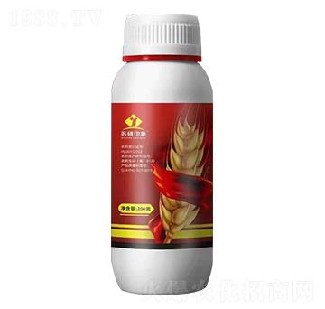 11%�������x��-�K��ӡ��