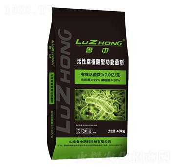 ���Ը�ֲ���͹��ܾ���-�r(n��ng)��ʘI(y��)