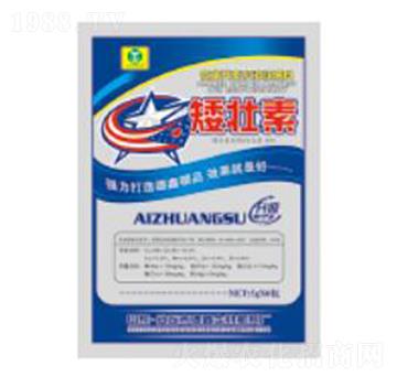 ������5g-��������