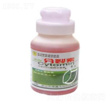 ������-��������