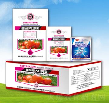 �������t����-���ؠ��r��