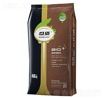 �O�|(zh��)΢����������p�����������{������-�ۃ�