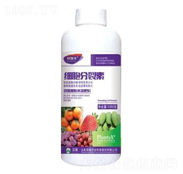 1000g����������-�sҫ�r�I(y��)