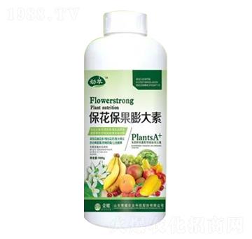 1000gƿ�b�������������-�sҫ�r(n��ng)�I(y��)