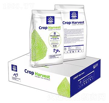 5kg����Ԫ��ˮ�ܷ���12-5-42+TE-��������