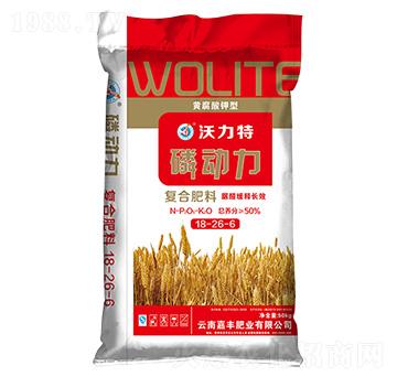 �S������͏�(f��)�Ϸ���18-26-6-������-�f(w��n)�f
