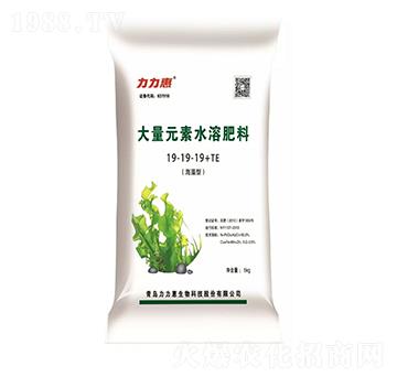 �����ʹ���Ԫ��ˮ�ܷ���19-19-19+TE-����������