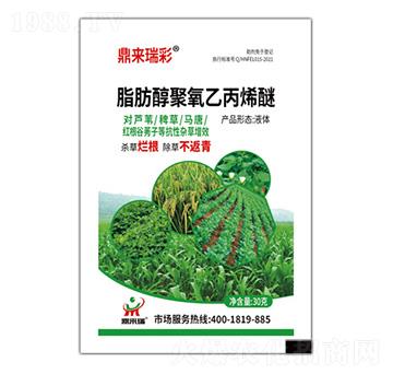 ֬���������ұ�ϩ��-�������-������