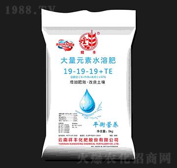 大量元素水溶肥料19-19-19+TE-螳豐-祥豐商貿