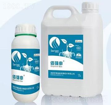 佰強申-?？颂m德