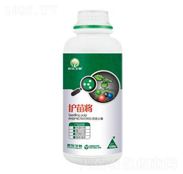 ΢�������-�o(h��)�猢-��������