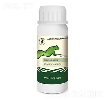 ֲ����-���}�����-�G���_(d��)